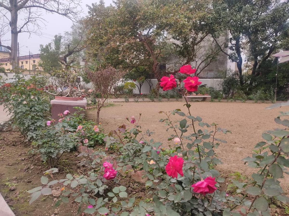 Vatika Homestay Varanasi Luaran gambar
