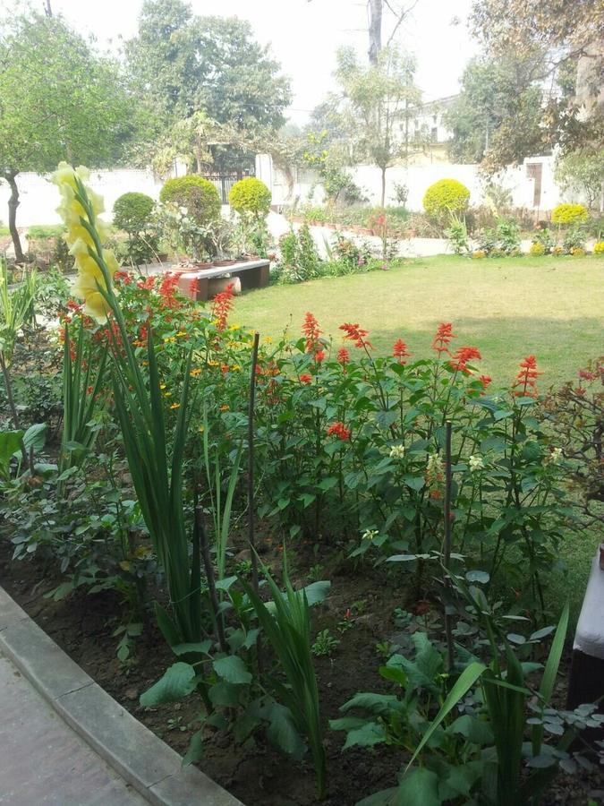 Vatika Homestay Varanasi Luaran gambar